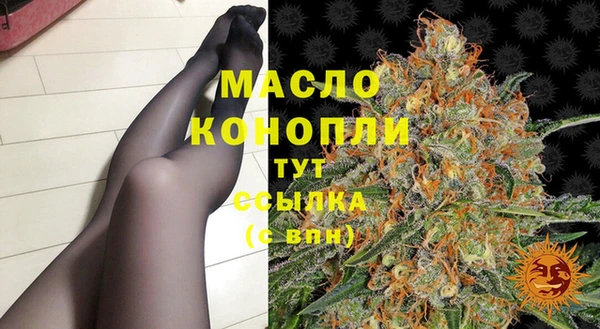 сатива Покачи