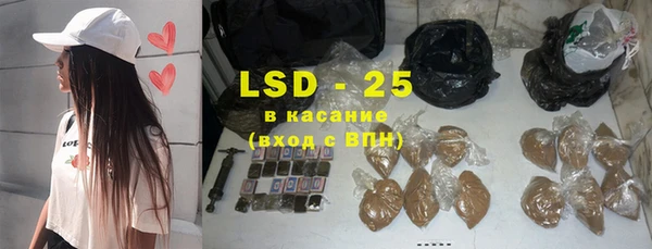 сатива Покачи