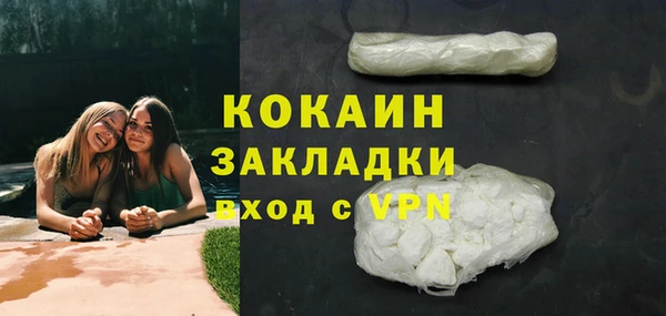 сатива Покачи