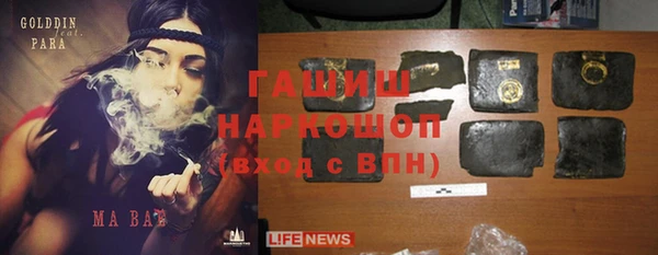 сатива Покачи