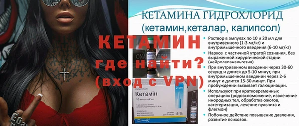 сатива Покачи