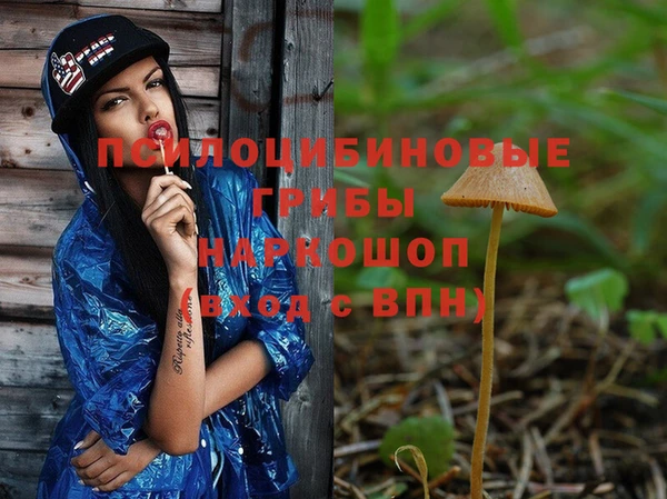 сатива Покачи
