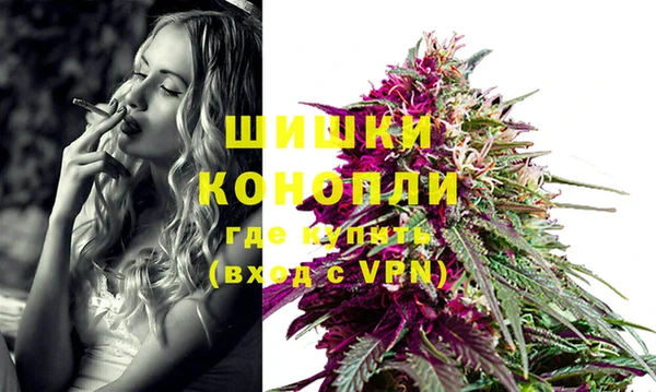 сатива Покачи